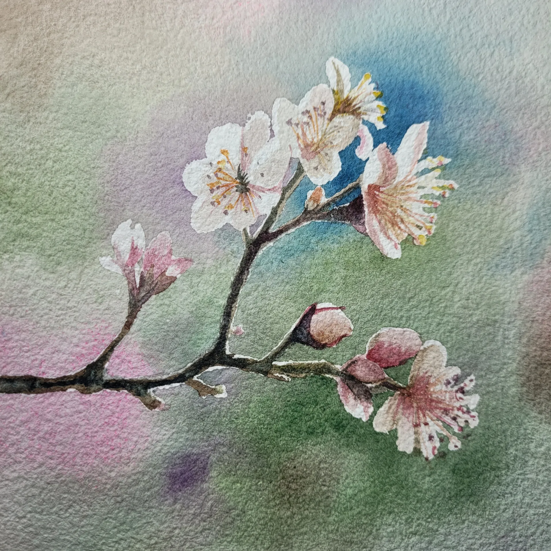 Flores