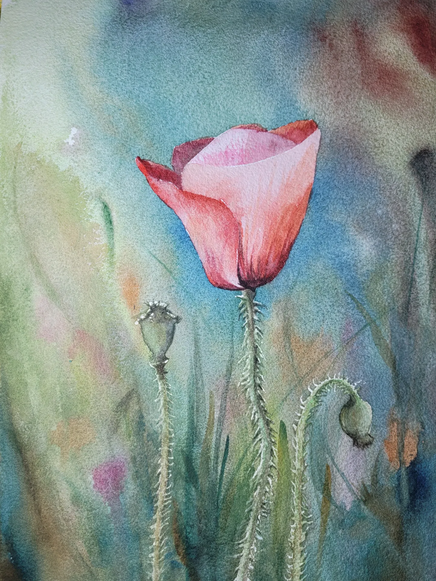Flores